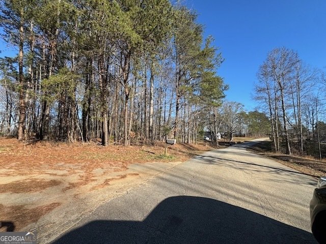 300 Dug Down Road Buchanan - Photo 25