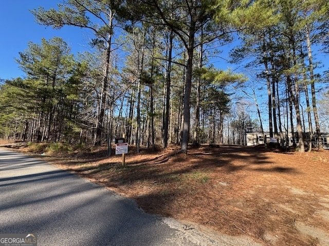 300 Dug Down Road Buchanan - Photo 26