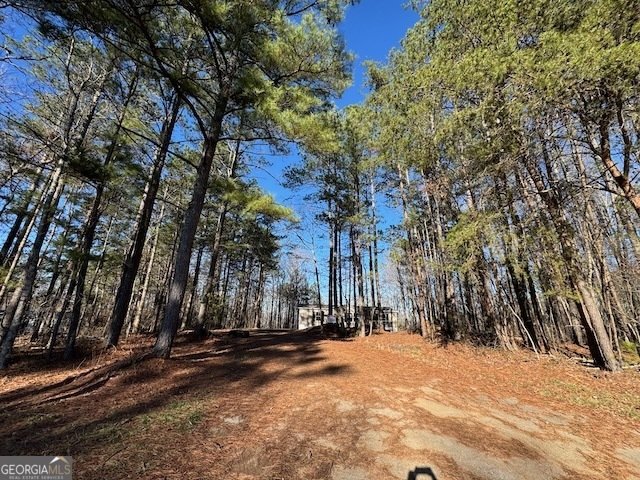 300 Dug Down Road Buchanan - Photo 27