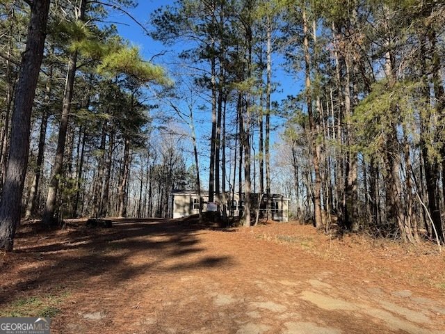 300 Dug Down Road Buchanan - Photo 28