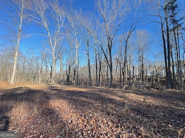 300 Dug Down Road Buchanan - Photo 30
