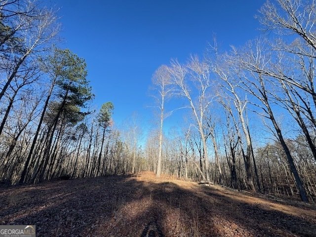 300 Dug Down Road Buchanan - Photo 31