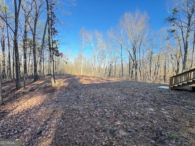 300 Dug Down Road Buchanan - Photo 33