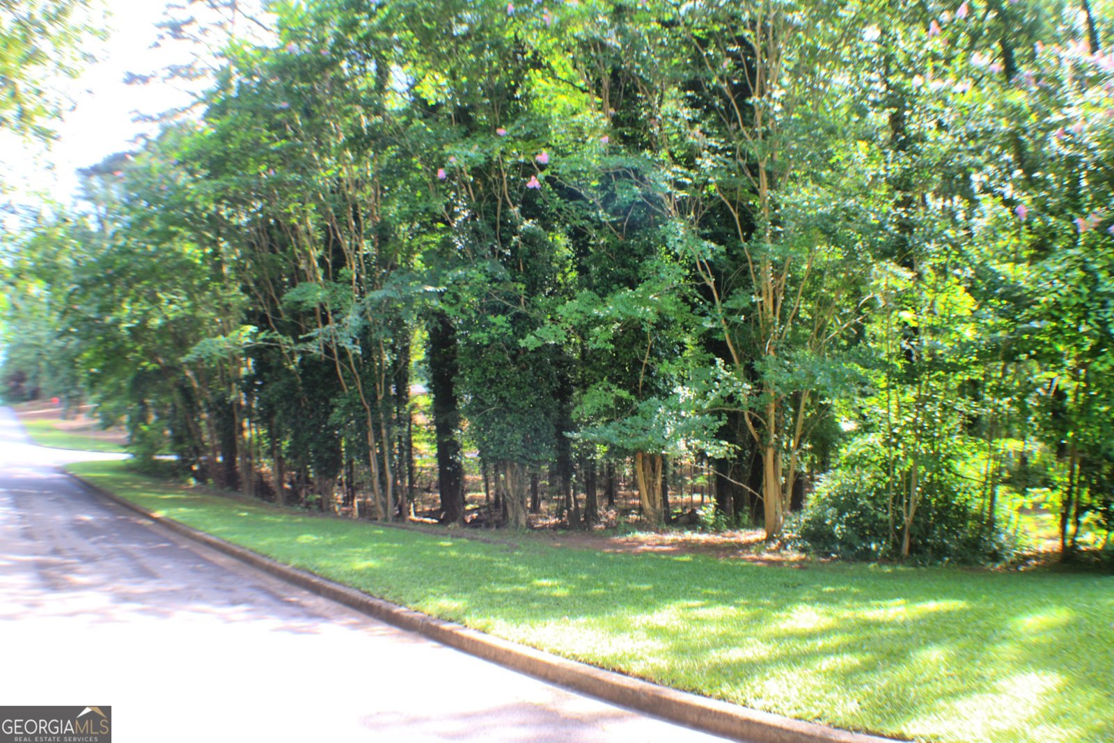 150 Ashley Drive Fayetteville - Photo 38