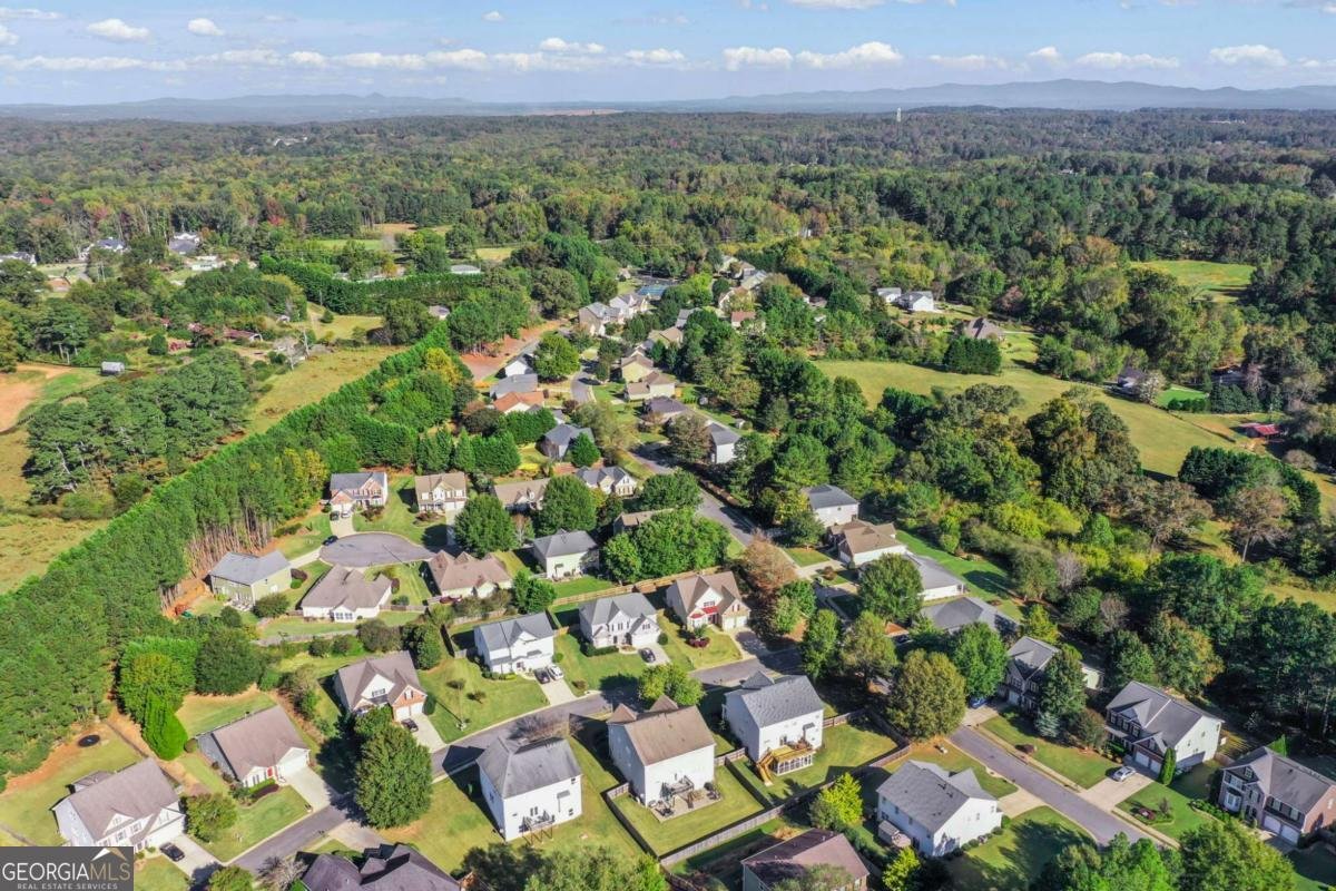 422 Juniper Court Canton - Photo 68