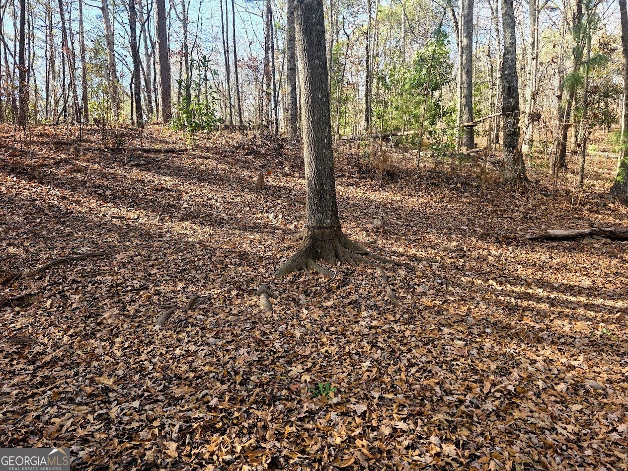 2226 Pickard Road Thomaston - Photo 22