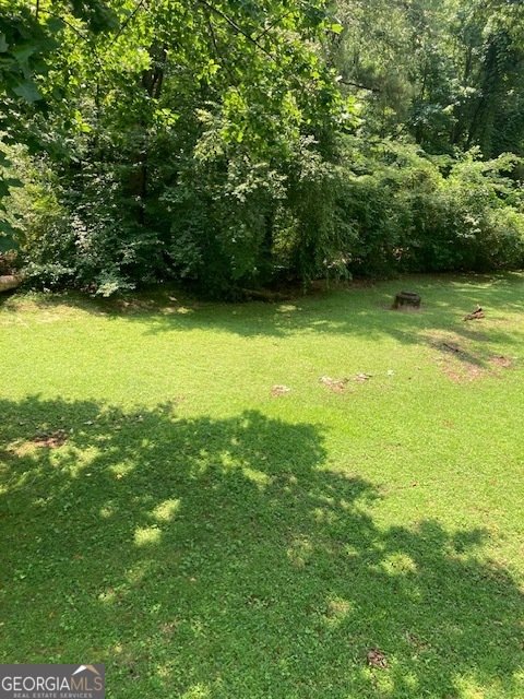 9256 Brook Court Douglasville - Photo 20