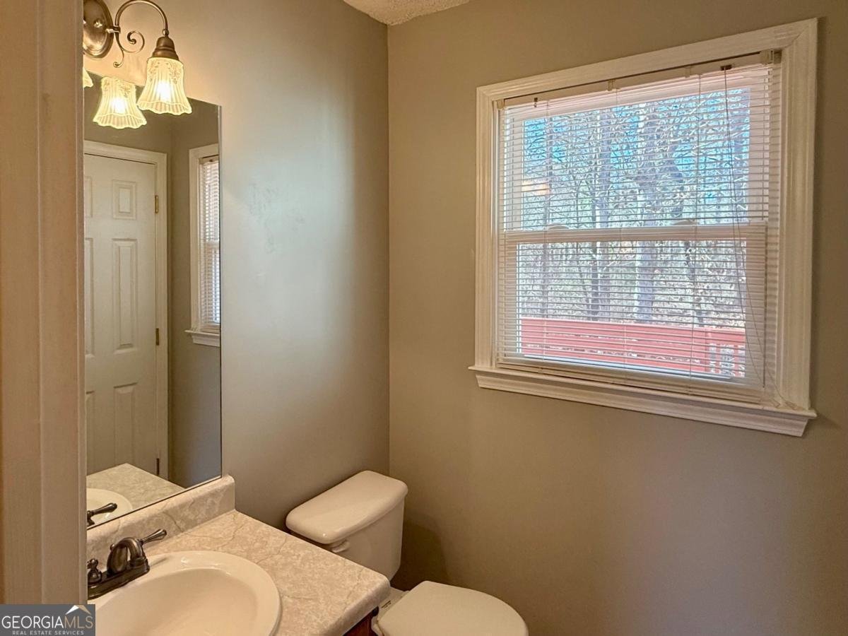 28 Wisteria Drive Hiram - Photo 19