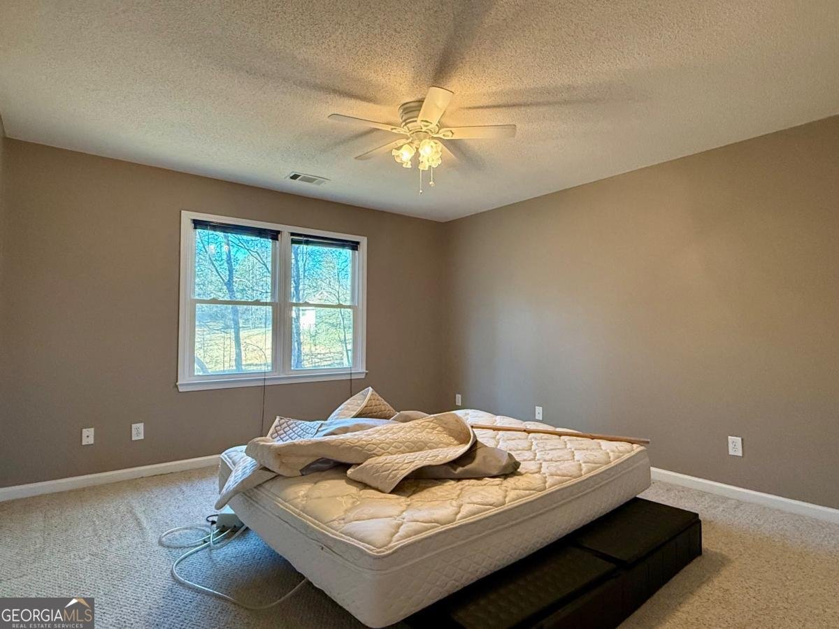 28 Wisteria Drive Hiram - Photo 34