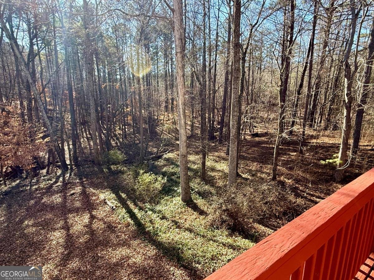 28 Wisteria Drive Hiram - Photo 55