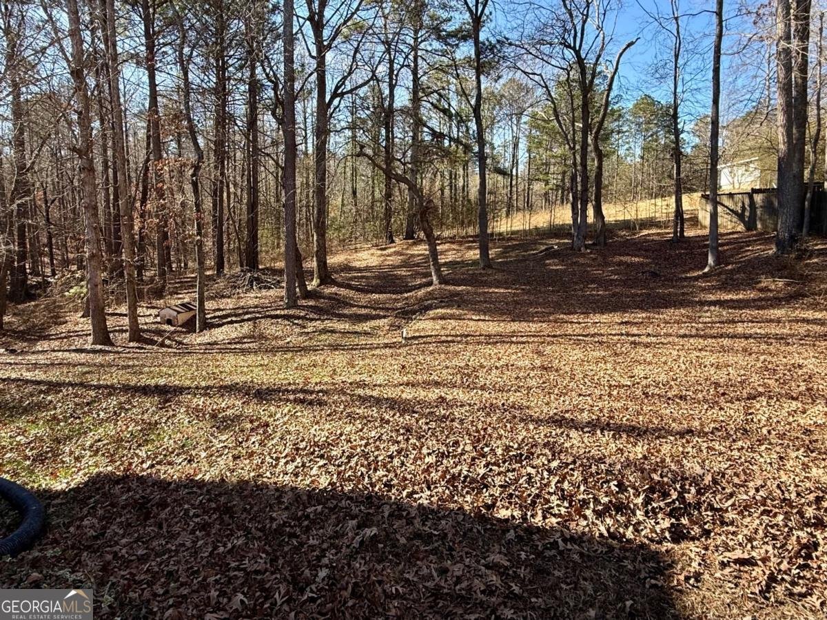 28 Wisteria Drive Hiram - Photo 60