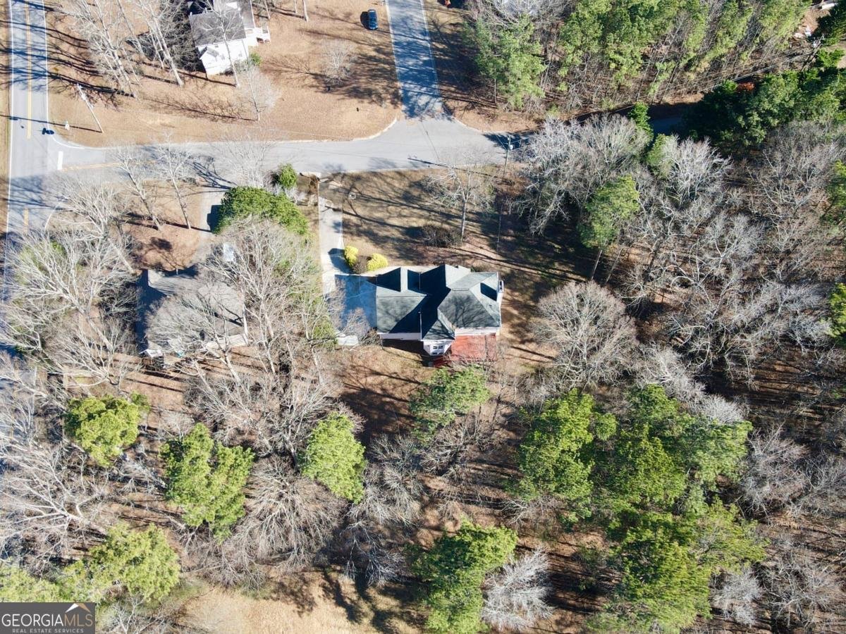 28 Wisteria Drive Hiram - Photo 68