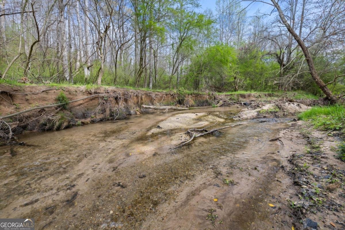 87 Tolleffs Trail Dahlonega - Photo 117