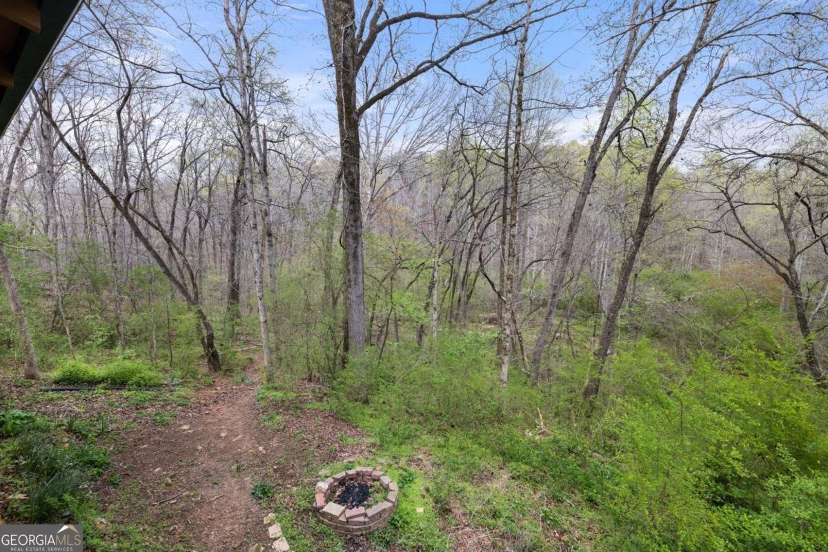 87 Tolleffs Trail Dahlonega - Photo 19