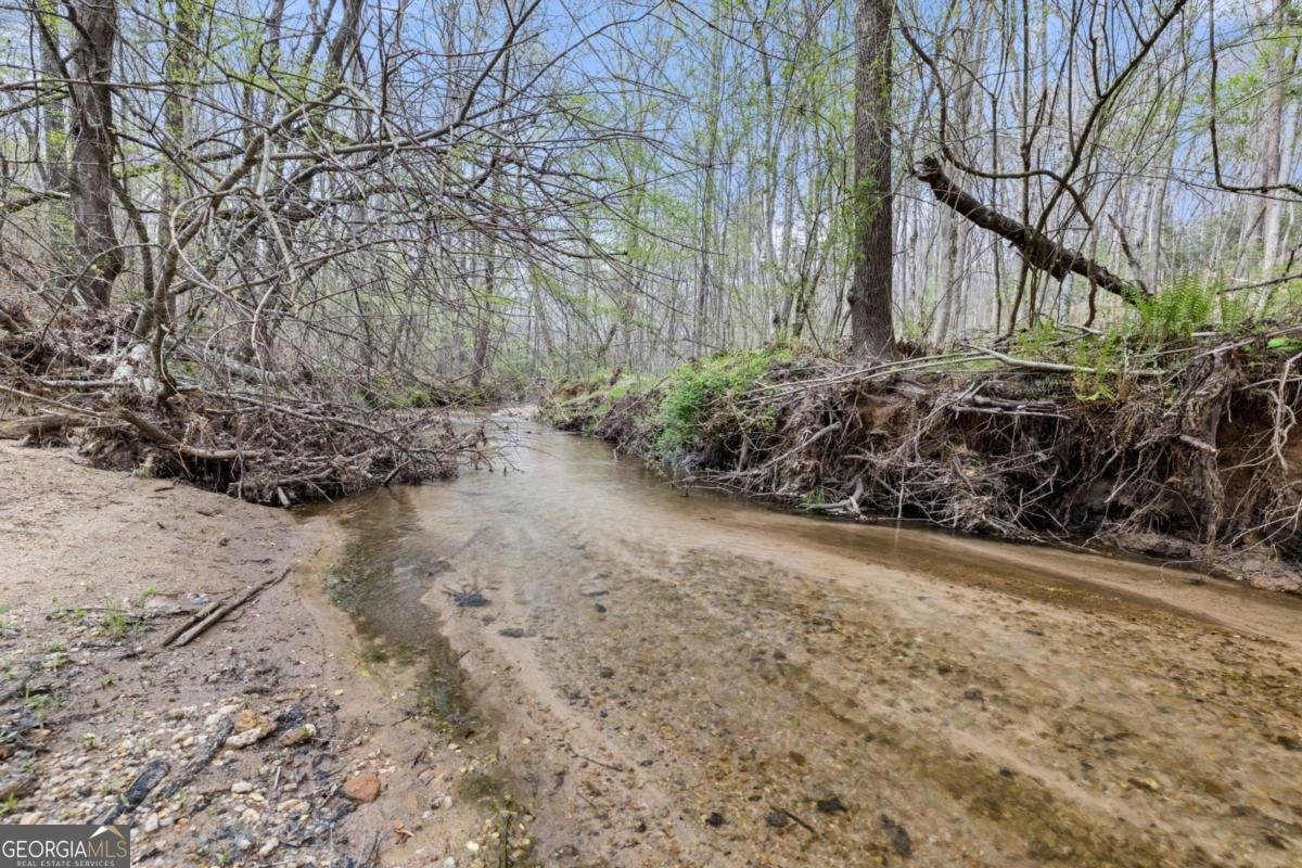 87 Tolleffs Trail Dahlonega - Photo 37