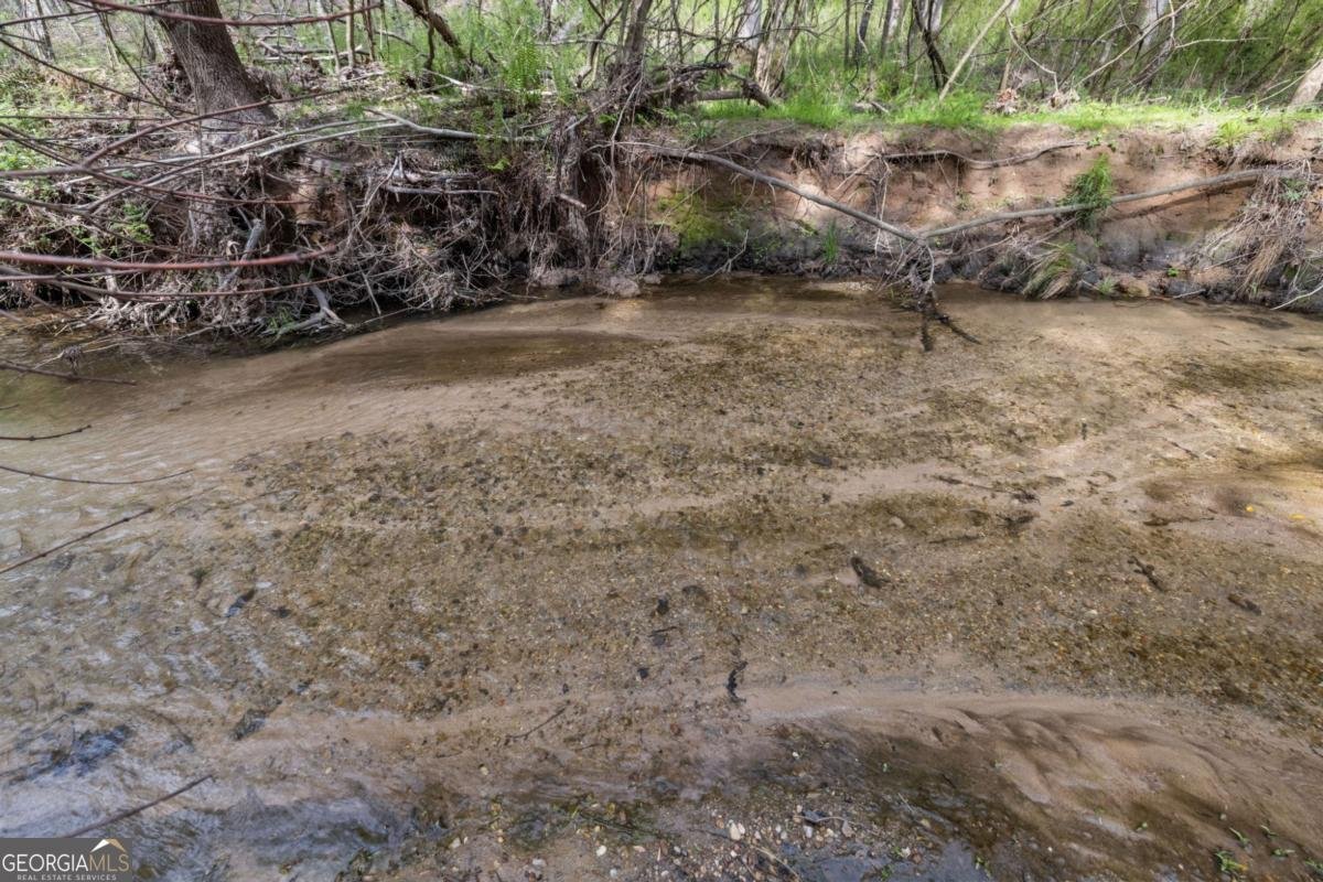 87 Tolleffs Trail Dahlonega - Photo 41