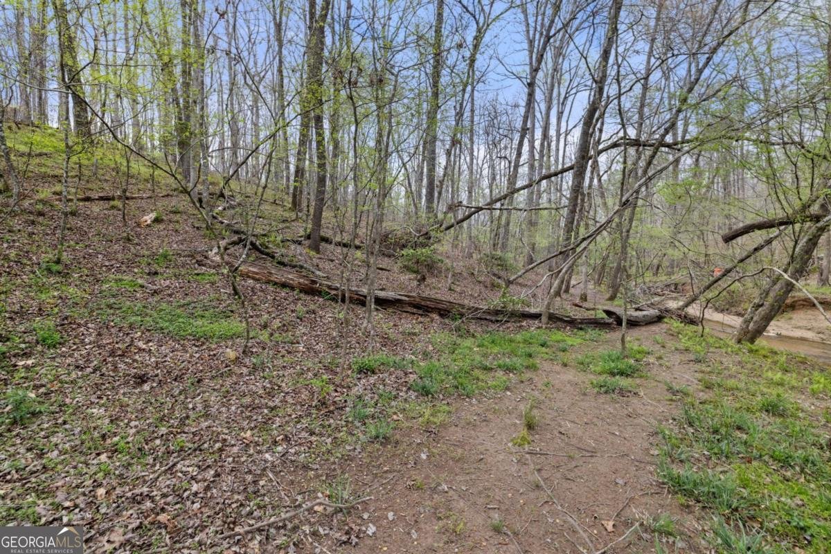 87 Tolleffs Trail Dahlonega - Photo 45