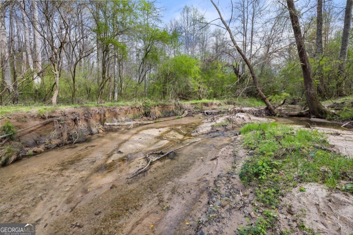 87 Tolleffs Trail Dahlonega - Photo 47