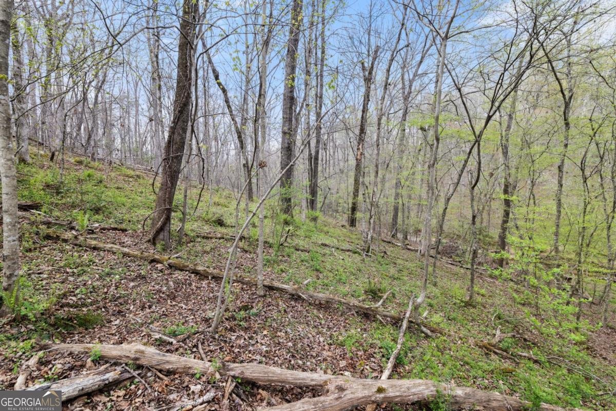 87 Tolleffs Trail Dahlonega - Photo 93