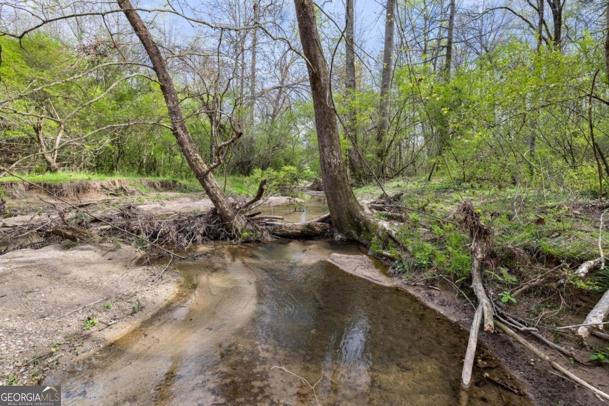 87 Tolleffs Trail Dahlonega - Photo 96