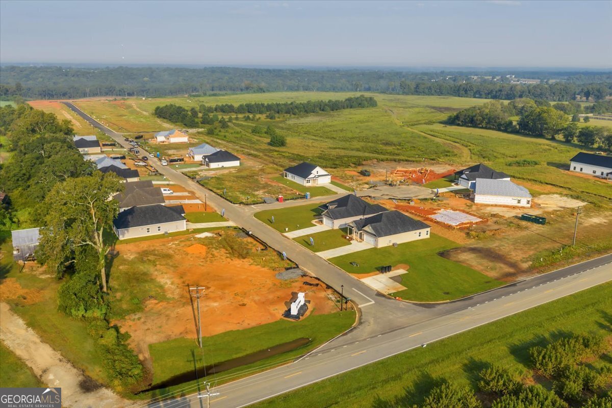 118 Early Drive Byron - Photo 47