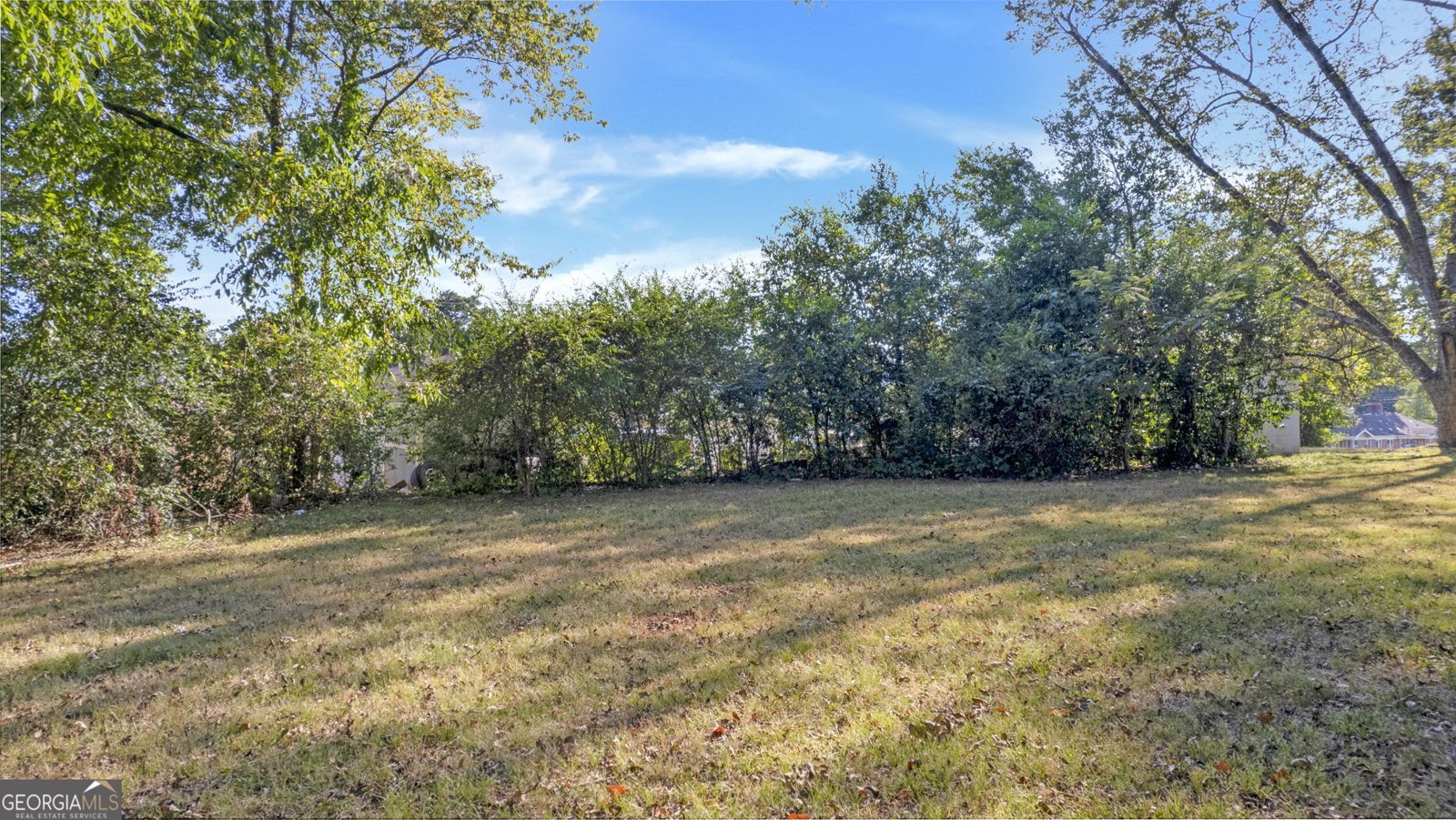 729 College Street Cedartown - Photo 21