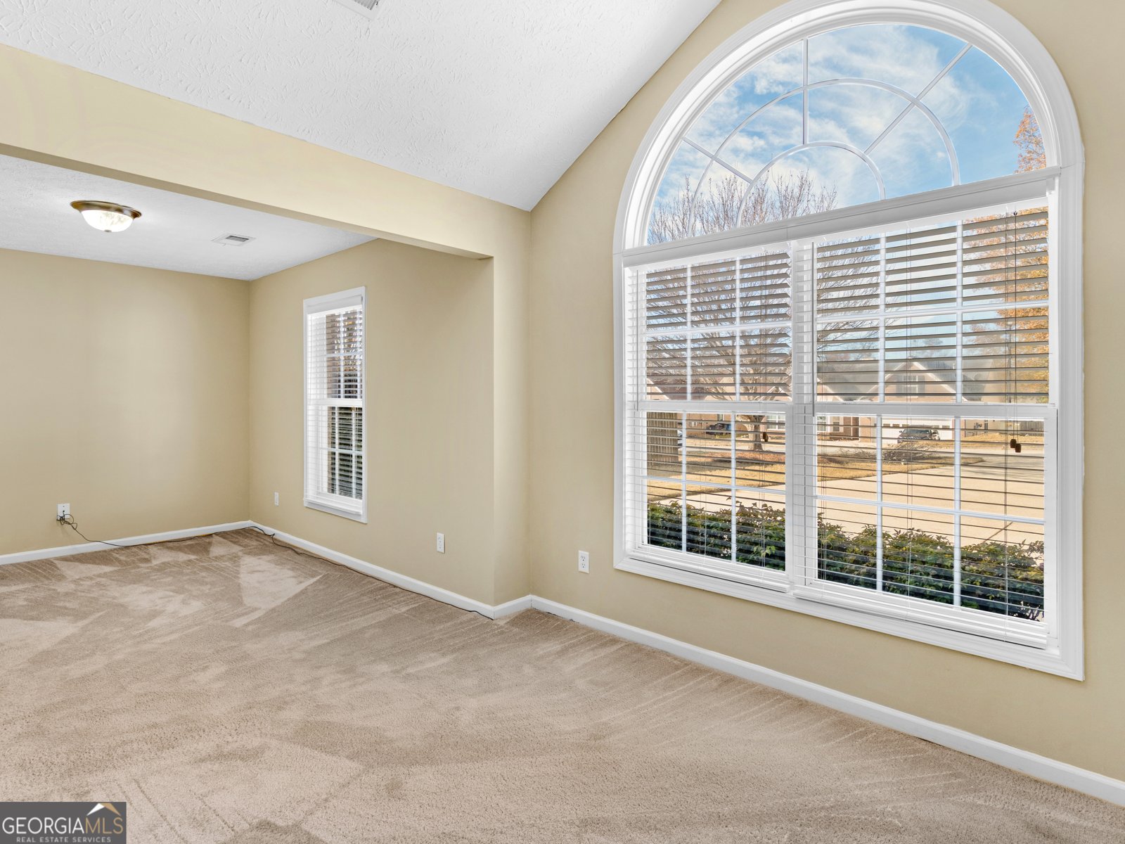 1014 Harbor View Lane McDonough - Photo 27