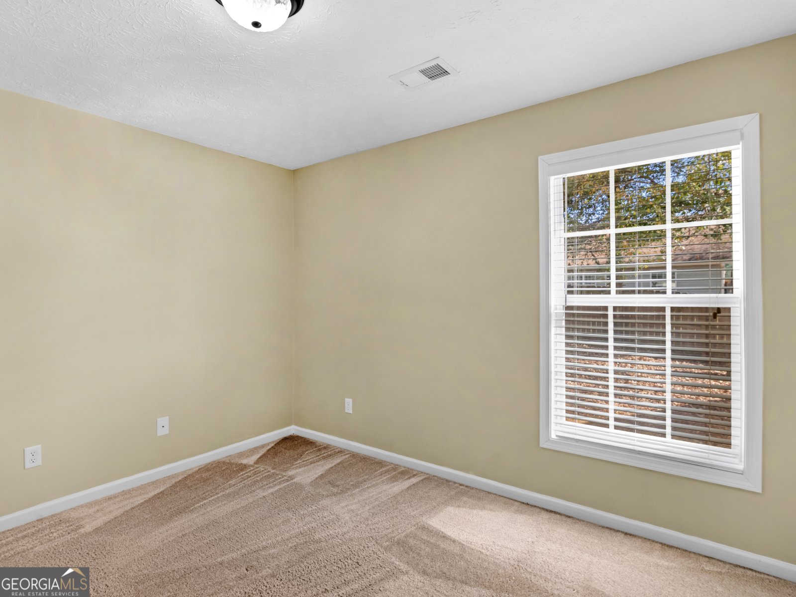 1014 Harbor View Lane McDonough - Photo 32