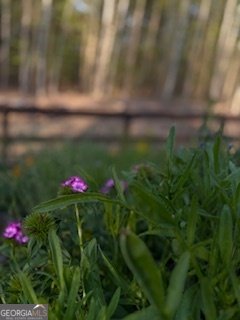 62 Joe Rowell Road Buchanan - Photo 61