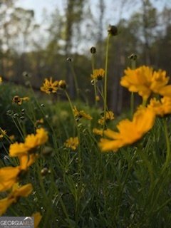 62 Joe Rowell Road Buchanan - Photo 63