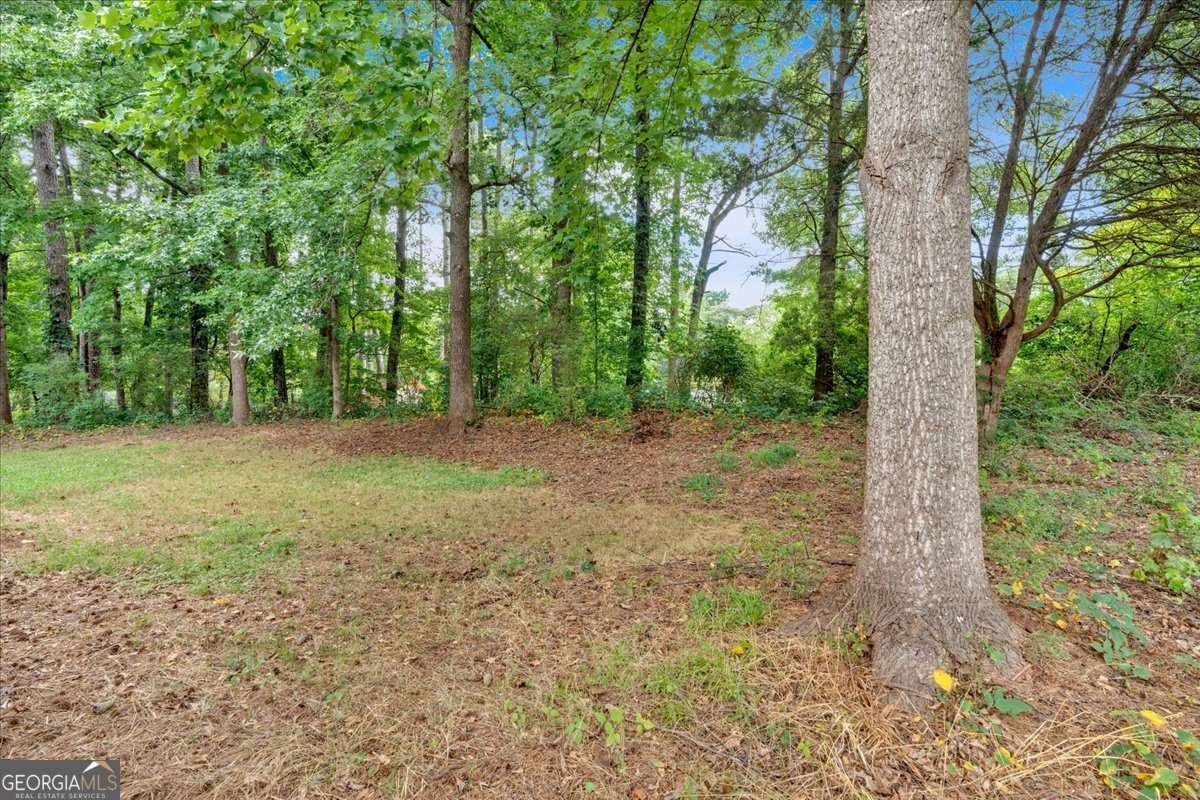 3240 Fescue Circle Lawrenceville - Photo 28