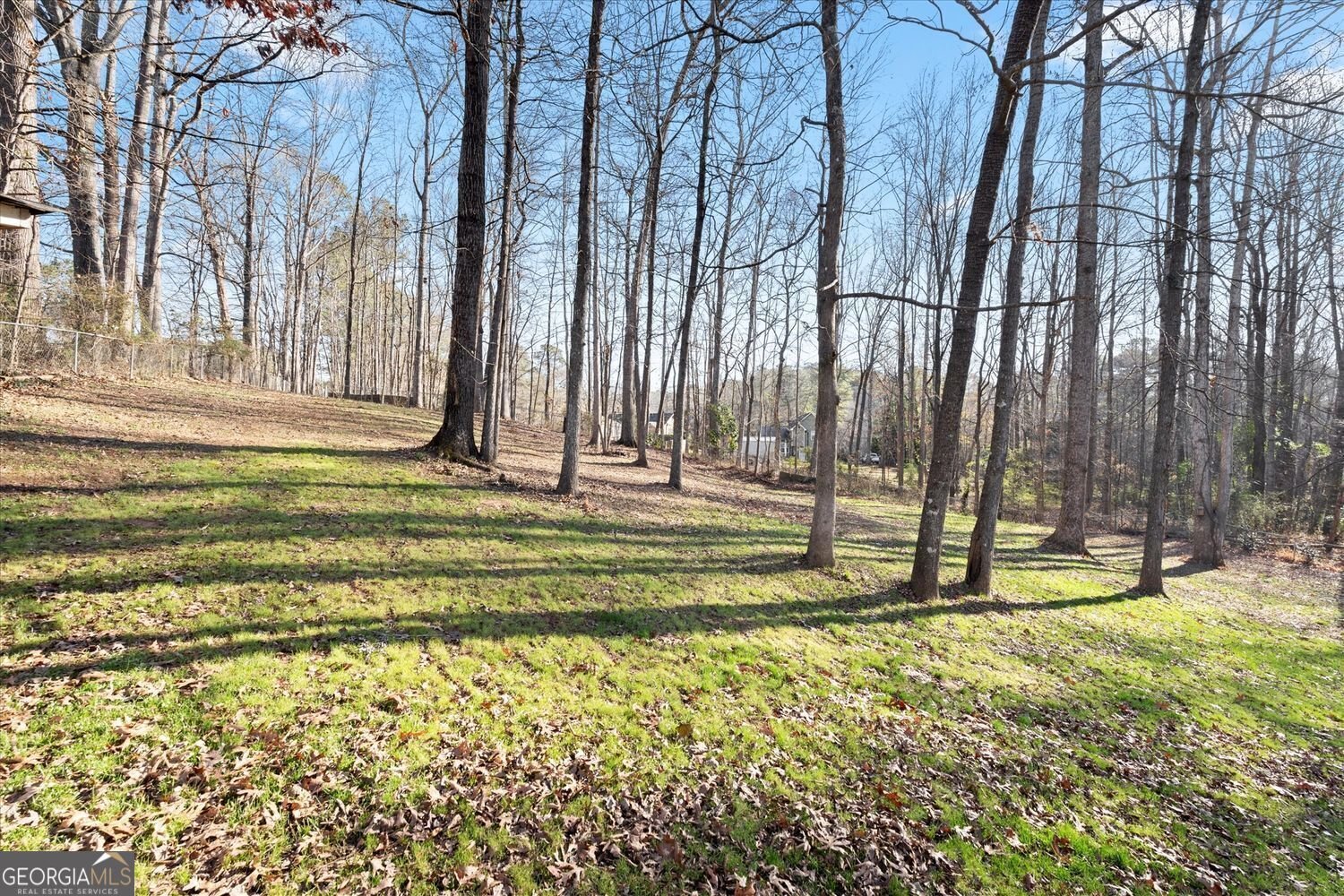 184 Ivy Trace Boulevard Newnan - Photo 36