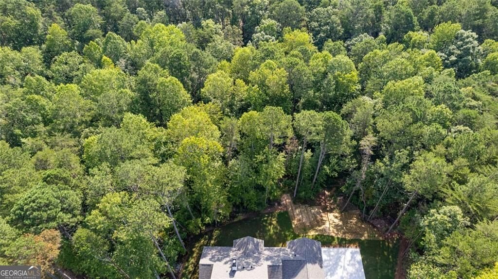 240 Highlands Chase Ball Ground - Photo 107