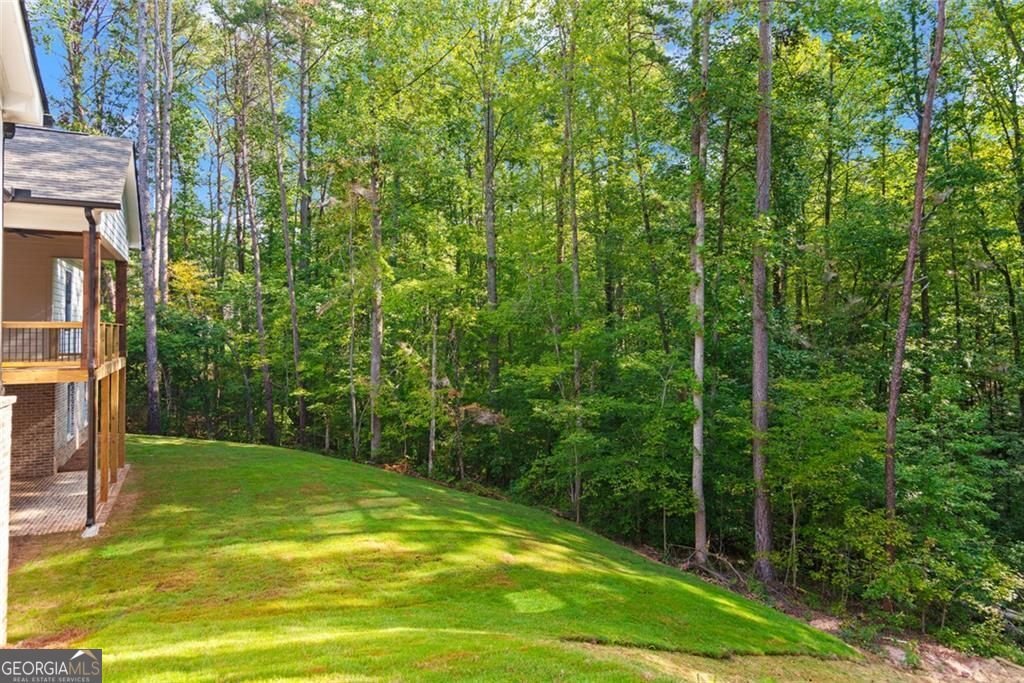 240 Highlands Chase Ball Ground - Photo 54