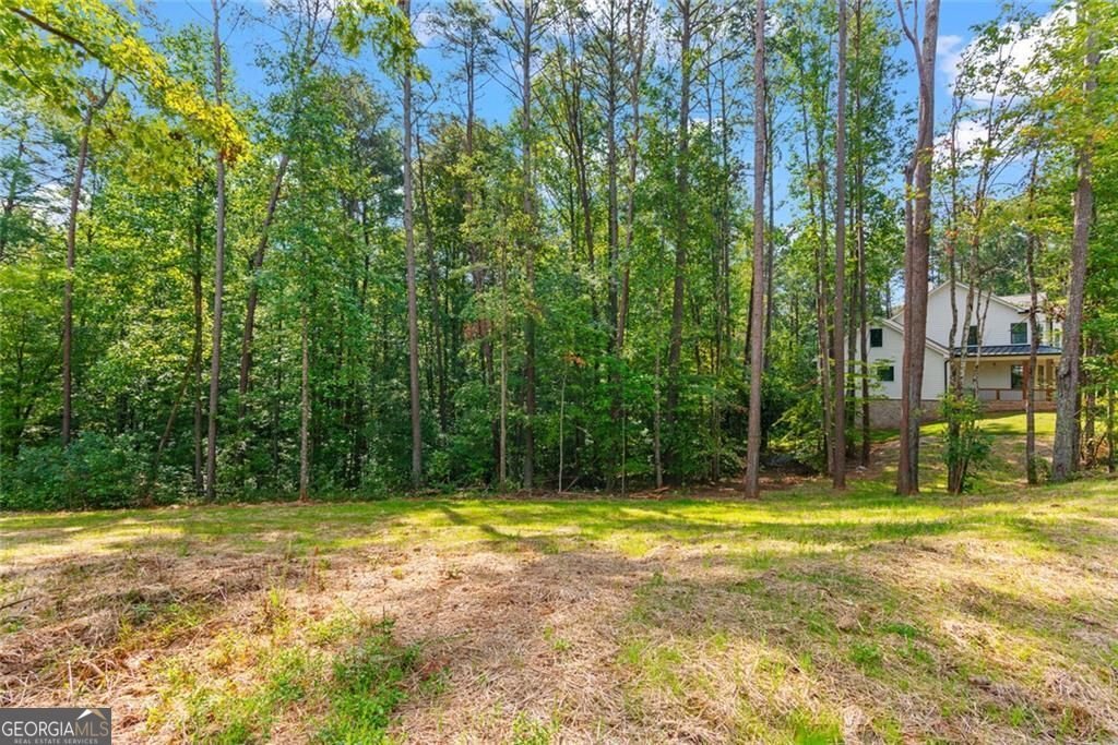 240 Highlands Chase Ball Ground - Photo 60