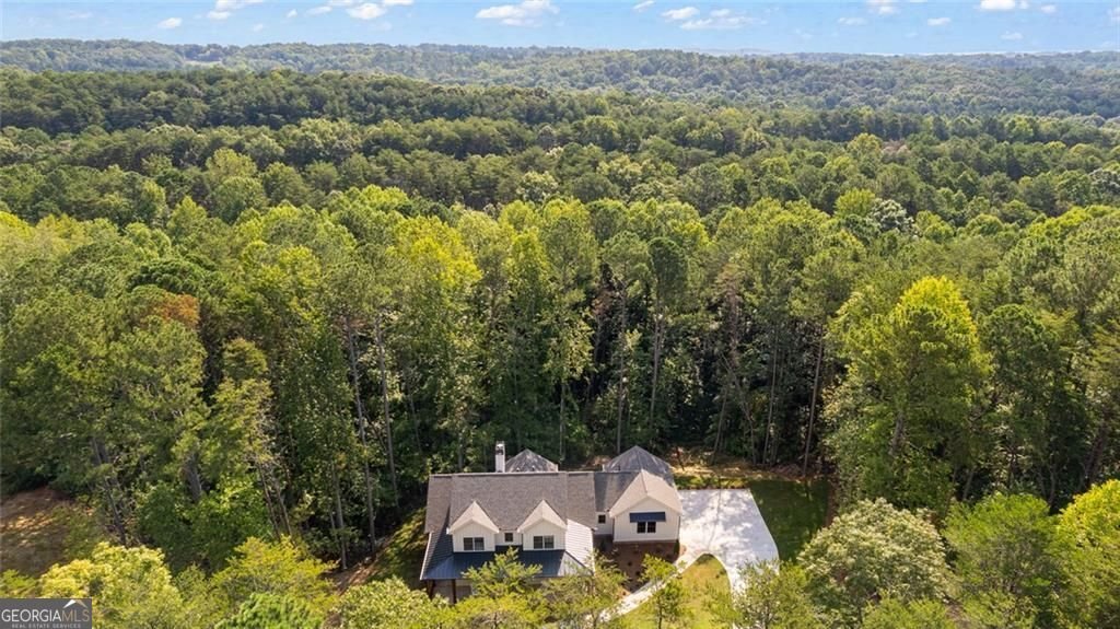 240 Highlands Chase Ball Ground - Photo 67