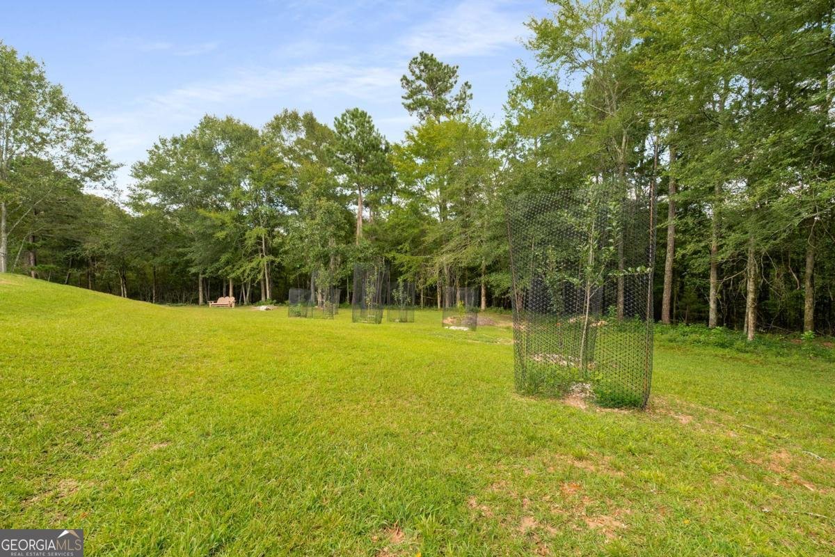 1621 La Fayette Drive Loganville - Photo 70