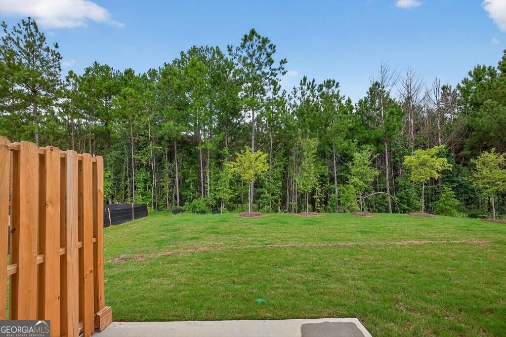 120 Hazel Drive McDonough - Photo 28