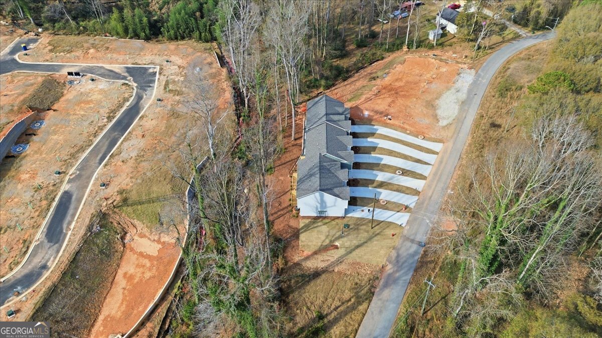 49 Wright Street Lavonia - Photo 46