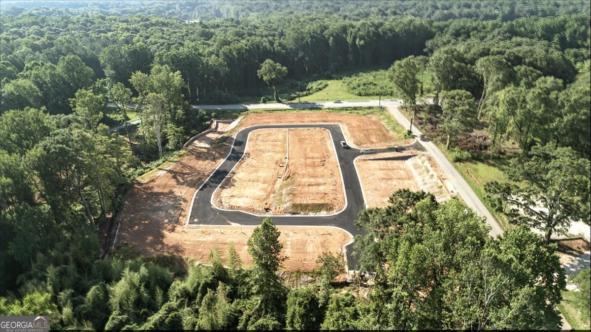 49 Wright Street Lavonia - Photo 52