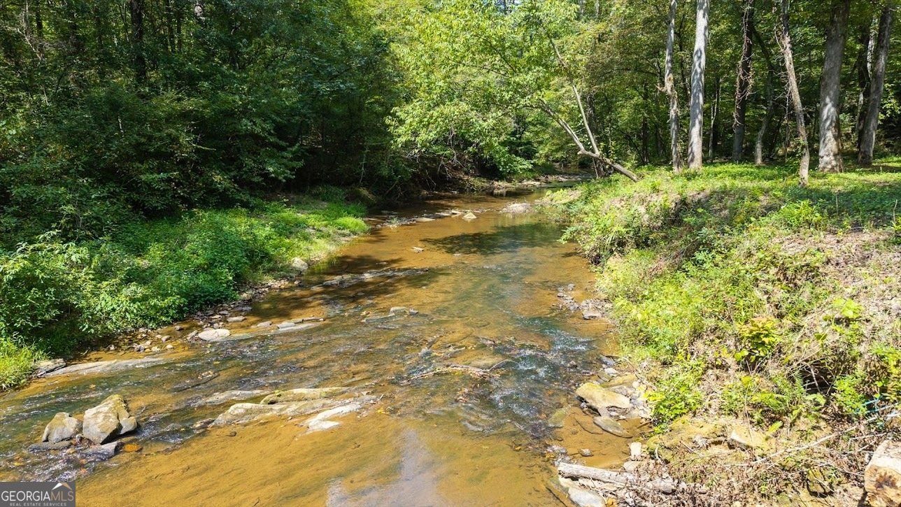 2237 Clem Lowell Road Carrollton - Photo 39