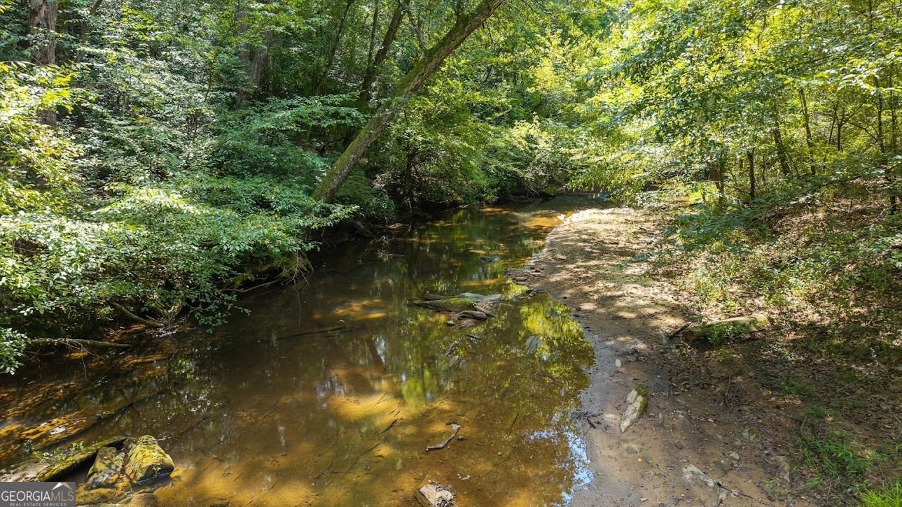 2237 Clem Lowell Road Carrollton - Photo 40