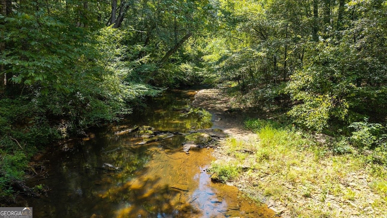 2237 Clem Lowell Road Carrollton - Photo 42