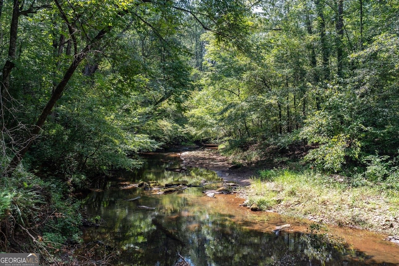 2237 Clem Lowell Road Carrollton - Photo 43