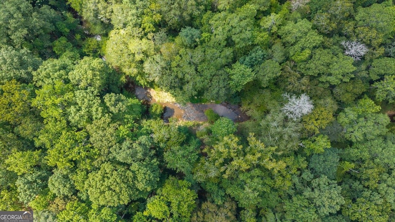 2237 Clem Lowell Road Carrollton - Photo 45