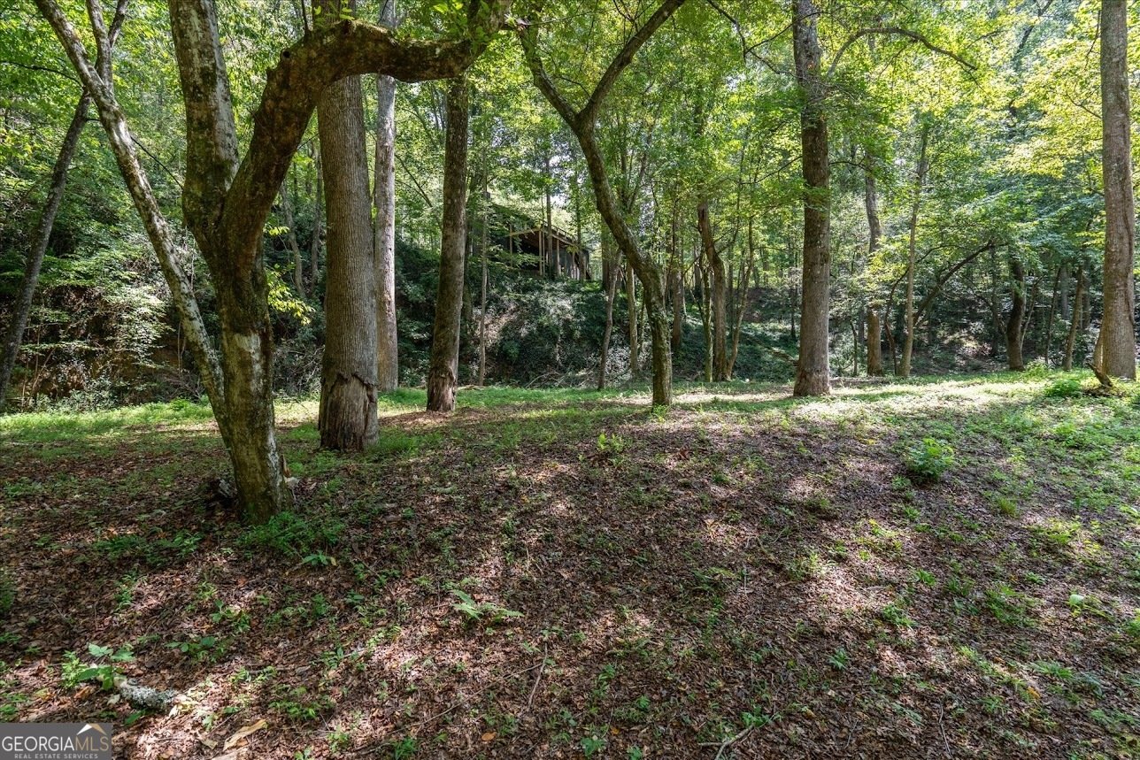 2237 Clem Lowell Road Carrollton - Photo 46