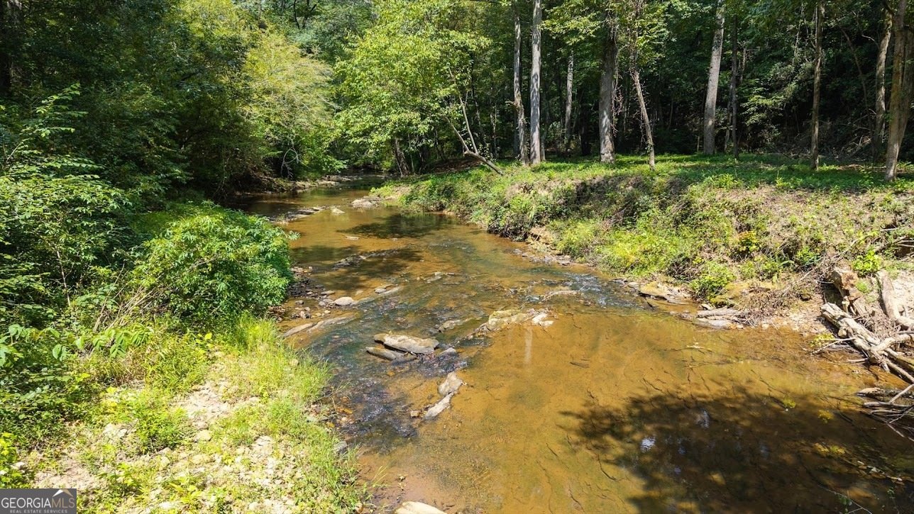 2237 Clem Lowell Road Carrollton - Photo 48