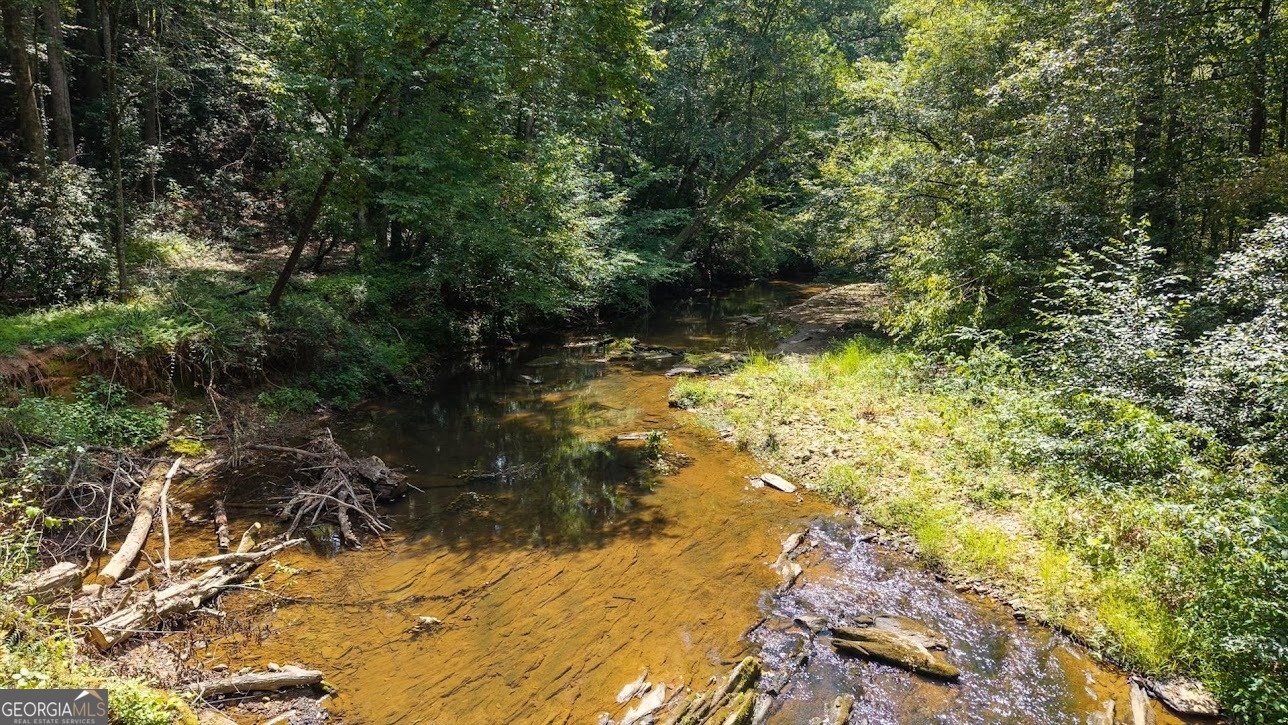 2237 Clem Lowell Road Carrollton - Photo 49