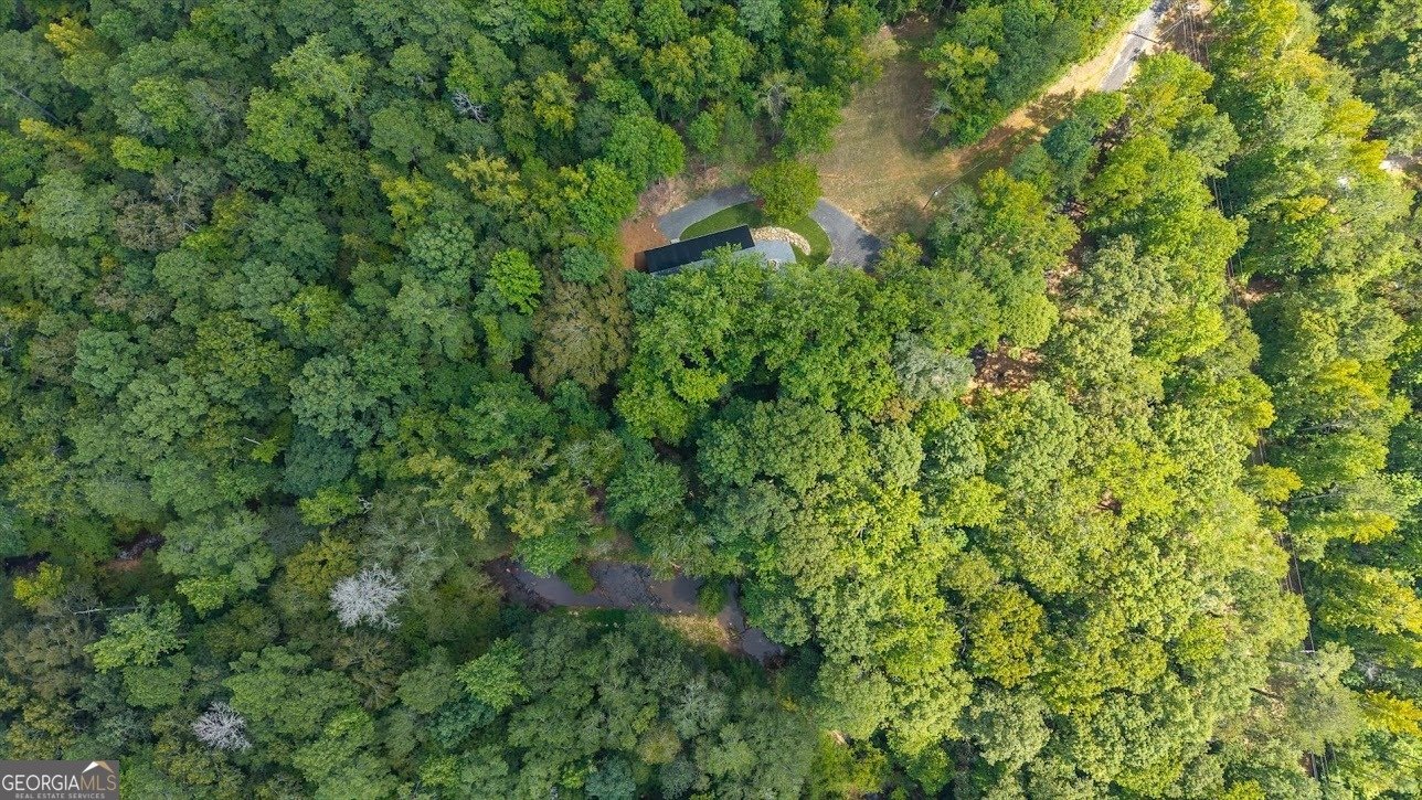 2237 Clem Lowell Road Carrollton - Photo 50