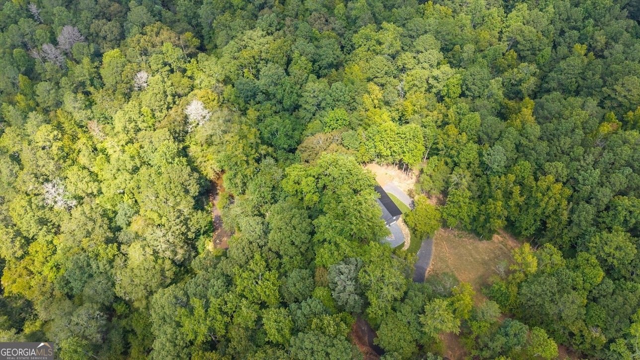 2237 Clem Lowell Road Carrollton - Photo 52